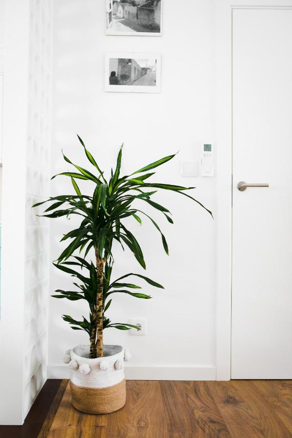 Eco Villa Do Adro Porto de Mós 外观 照片